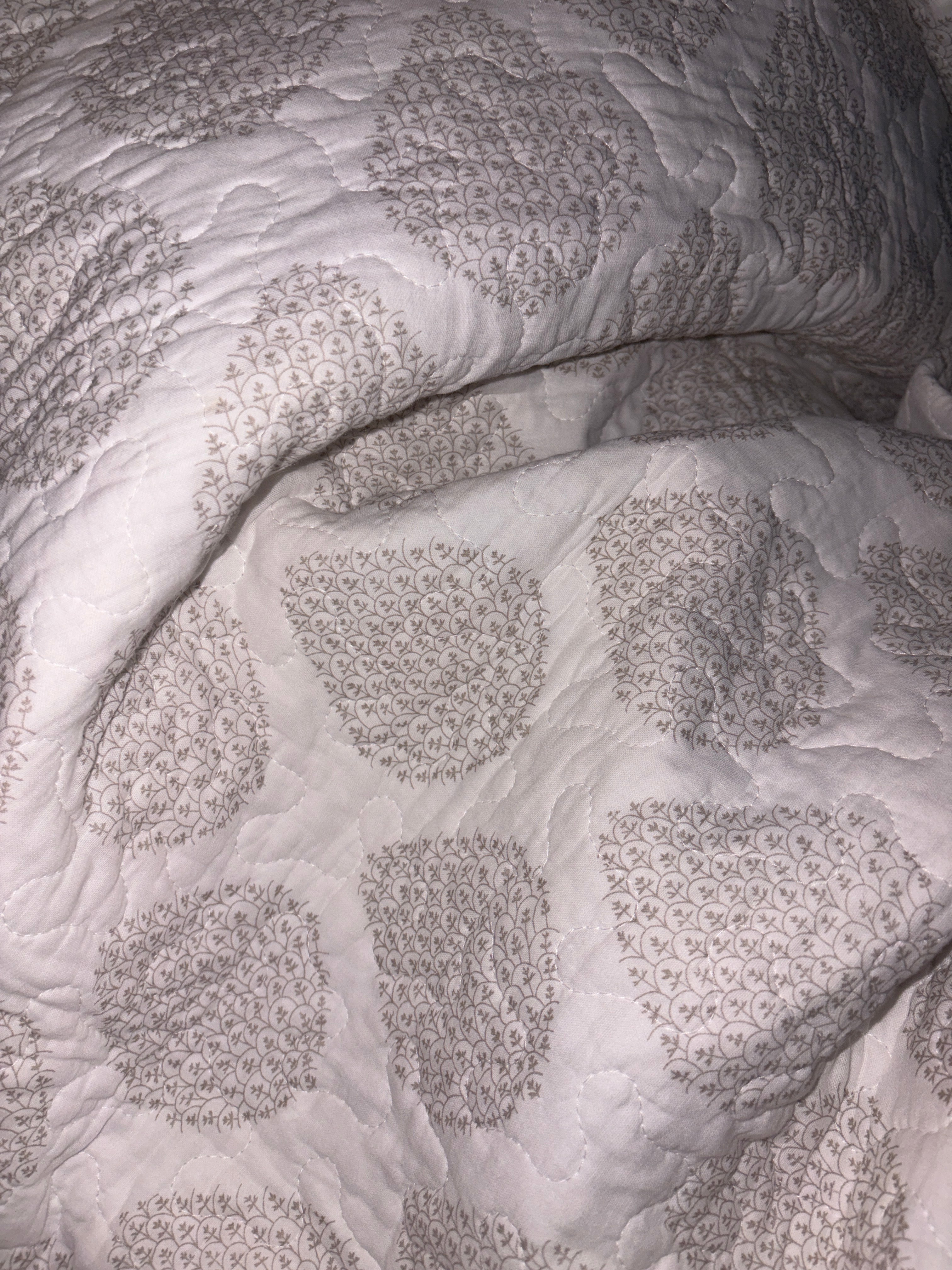 Ivory Whisper Reversible Quilted Bedspread – 300 TC Cotton | 260 x 240 cm | King Size | 2 Quilted Covers