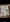 Super King Size Jaipuri Cotton Bedsheet – Soft Beige with Botanical Bloom